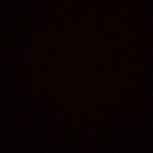 Meet your Posher, Trey